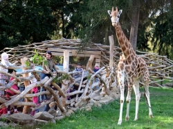 Rodinné vstupné do vybrané ZOO